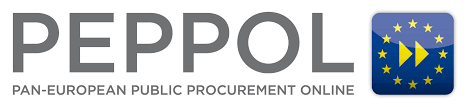 Számlázás PEPPOL-on keresztül 100 számlán / hó